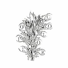 collaborations (outby16, harvest, seng°, stranger, 000garrett, nadiak, kryptik, taylor morgan &more)