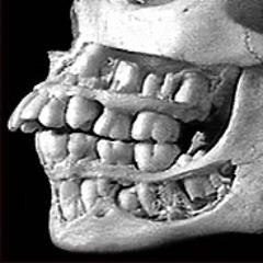 pull my teeth (coda ideas)