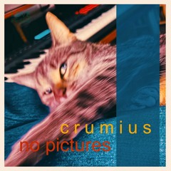 No Pictures