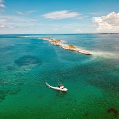 Die Up - Pregame Vol. 2