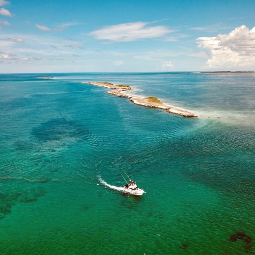 Die Up - Pregame Vol. 2