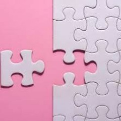 LAST PIECE OF THE PUZZLE