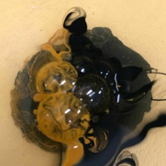 2 SHOTS IN THE SNUB NOSE BY BABY JESUS