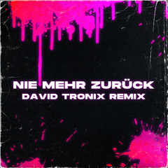 Nie mehr zurück (David Tronix Remix)