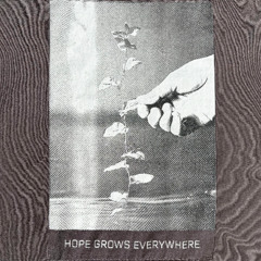 Ben Jaber - Hope grows everywhere (Original Mix)