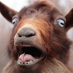 Goat Heist (ft. 04SAM)