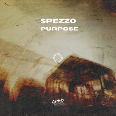 Spezzo - Purpose