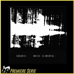 Premiere : Squaric - Interferences In Kyoto - Noise Elemental Album - Industrial Complexx