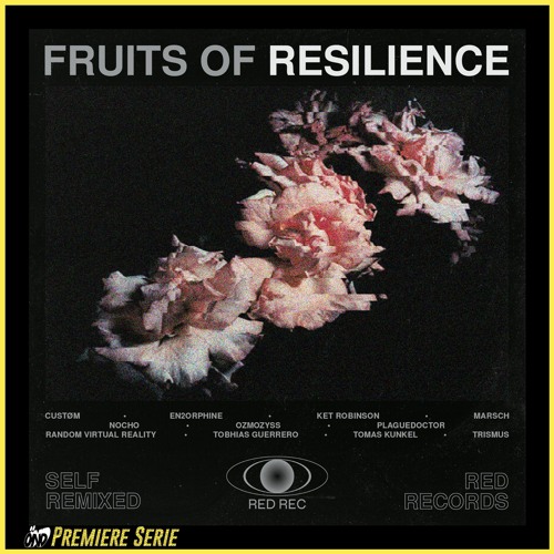 PREMIERE : Marsch - What you Seek Is seeking You (Tomas Kunkel) [RED REC]