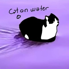 Cat on Water (prod. dj Konk<3)
