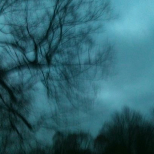 Grouper- Poison Tree (instrumental+pitched+rain)