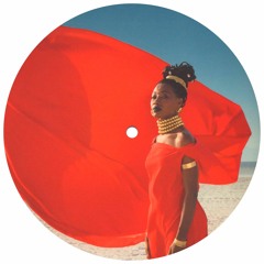 Fatoumata Diawara - Nterini (Hardy's Remix) [HZRX]
