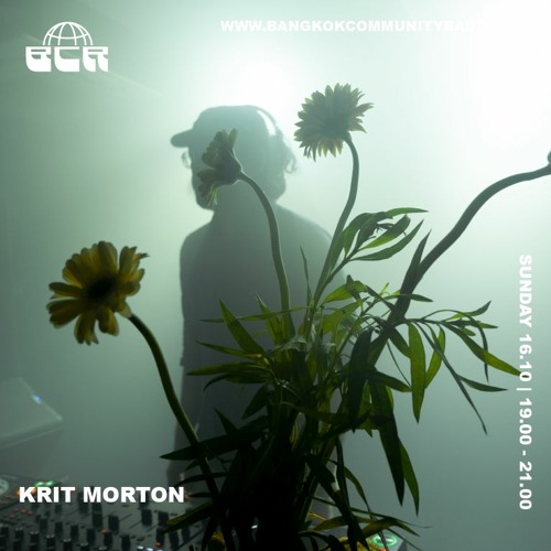 Krit Morton 16th October