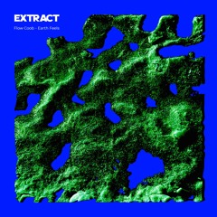 PREMIERE | Flow Coob - Earth Feels