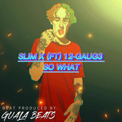 Slim X So What (FT) 12-GAUG3