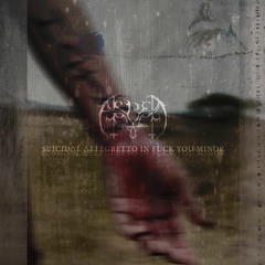 Suicidal Allegretto In Fuck You Minor