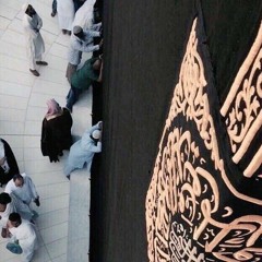 أتيت وفي الحشا ألم ثقيل | أمين إسماعيل