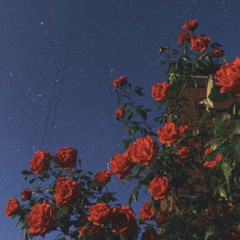 Instagram- NCT 해찬,정우