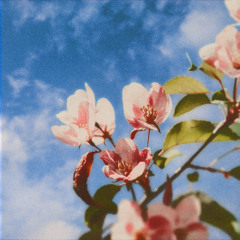 NEED U (With Lily Ward)