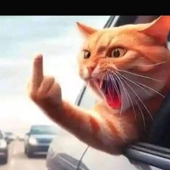 ff2-tech   billie eilish / Sia