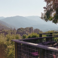 Blithe Field: "One Way"