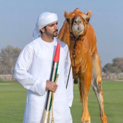 عيضه المنهالي - الشيحانيه⁩