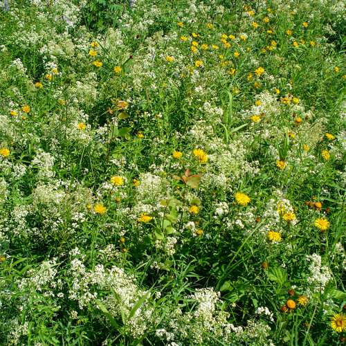 Can't Stop Thinking About You