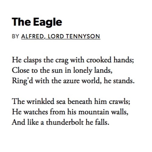 the eagle poem