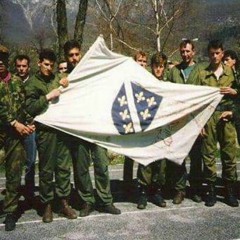 Bosanska Artiljerija