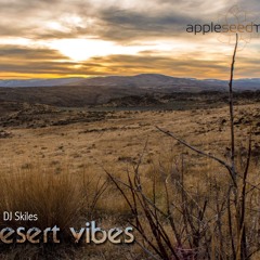 Desert Vibes 12