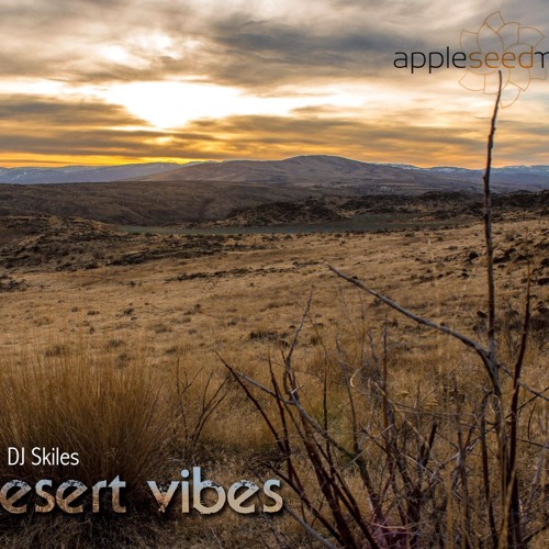 Desert Vibes 12
