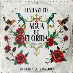 Auga De Florida: Liberdia Y Sondios Volume Uno - Preview