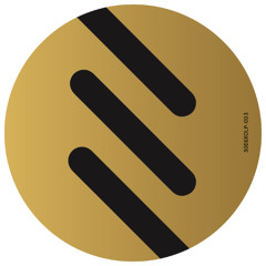 30DEXOLP-003: Denise Rabe - Transition LP