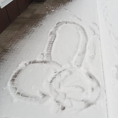 НОЧНЫЕ ГОНЩИКИ