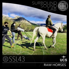 SSL43 RAW Horses