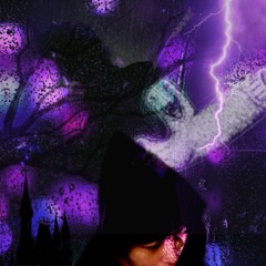 PURPLERAIN(2024.11.13)