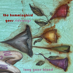 The Hummingbird Goes Sideways