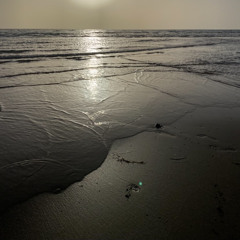 توفيق الرويسي - على بلد المحبوب | ينبعاوي