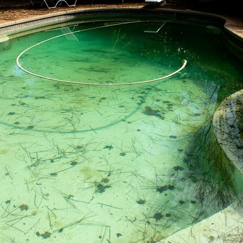 Stream episode Can Algae Stain a Gunite Pool? by fatima sheikh podcast