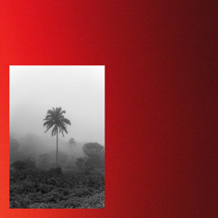 Summer Remains (Frank Ocean Cover)