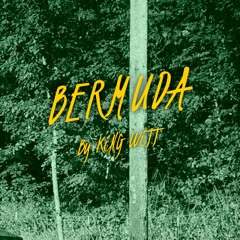 BERMUDA (prod. 1080PALE)
