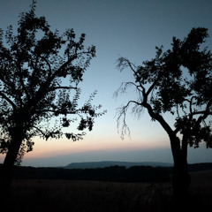 Drunkenstein @ Echo Sanctum (2025)