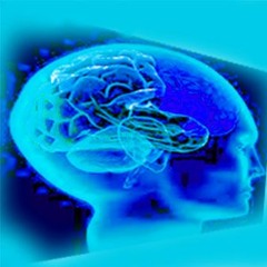 Brain Storm