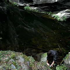 Resonant Dataset [I] - Echo Shift