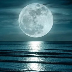 New & hot: Folk & Singer-Songwriter