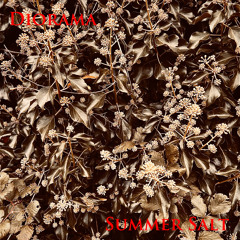 Diorama - Summer Salt