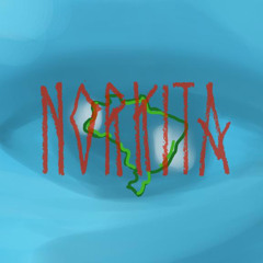 NORKITA 5 - PJ OG & BAETA