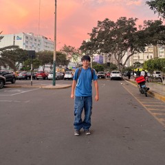 Demo huaman barras bravas