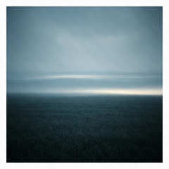 Clouds of Whales - Breathing Fields