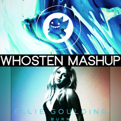 Trails x Ellie Goulding - DMMH Burn (Whosten Mashup)